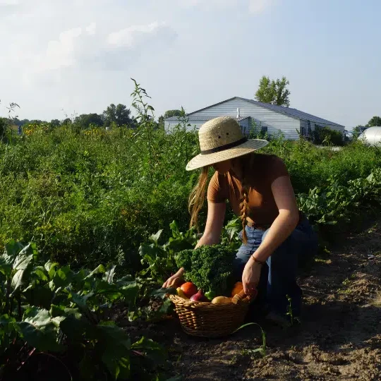 Website_JUL25_PleasantValleyProduceImage_960x540.png Website_JUL25_PleasantValleyProduceImage_960x540.png